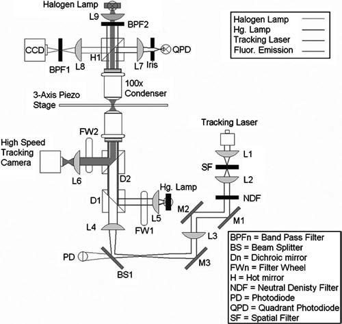 FIG. 6