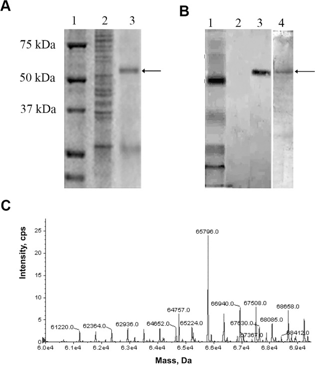 Fig 3