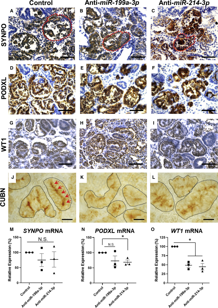 Figure 6