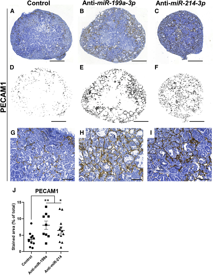 Figure 7