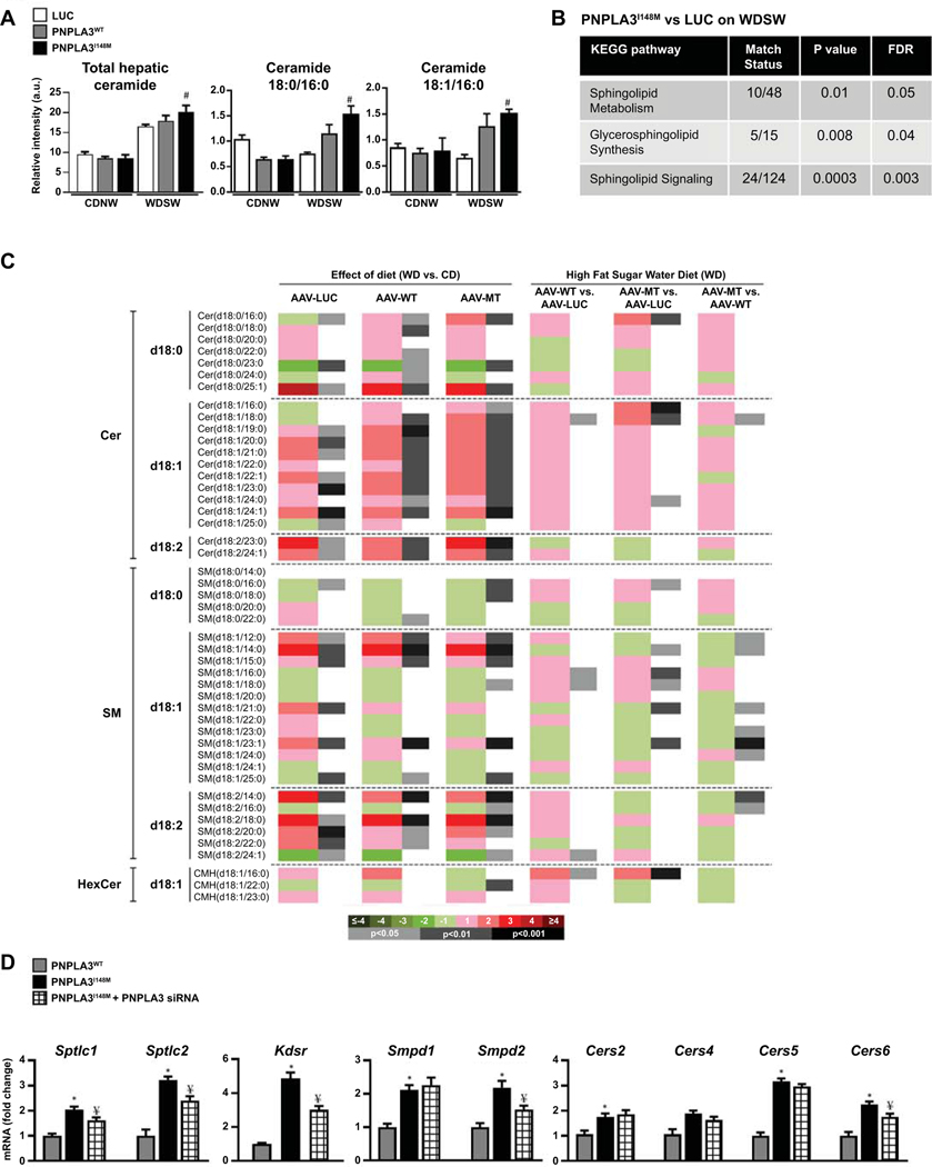 Figure 4: