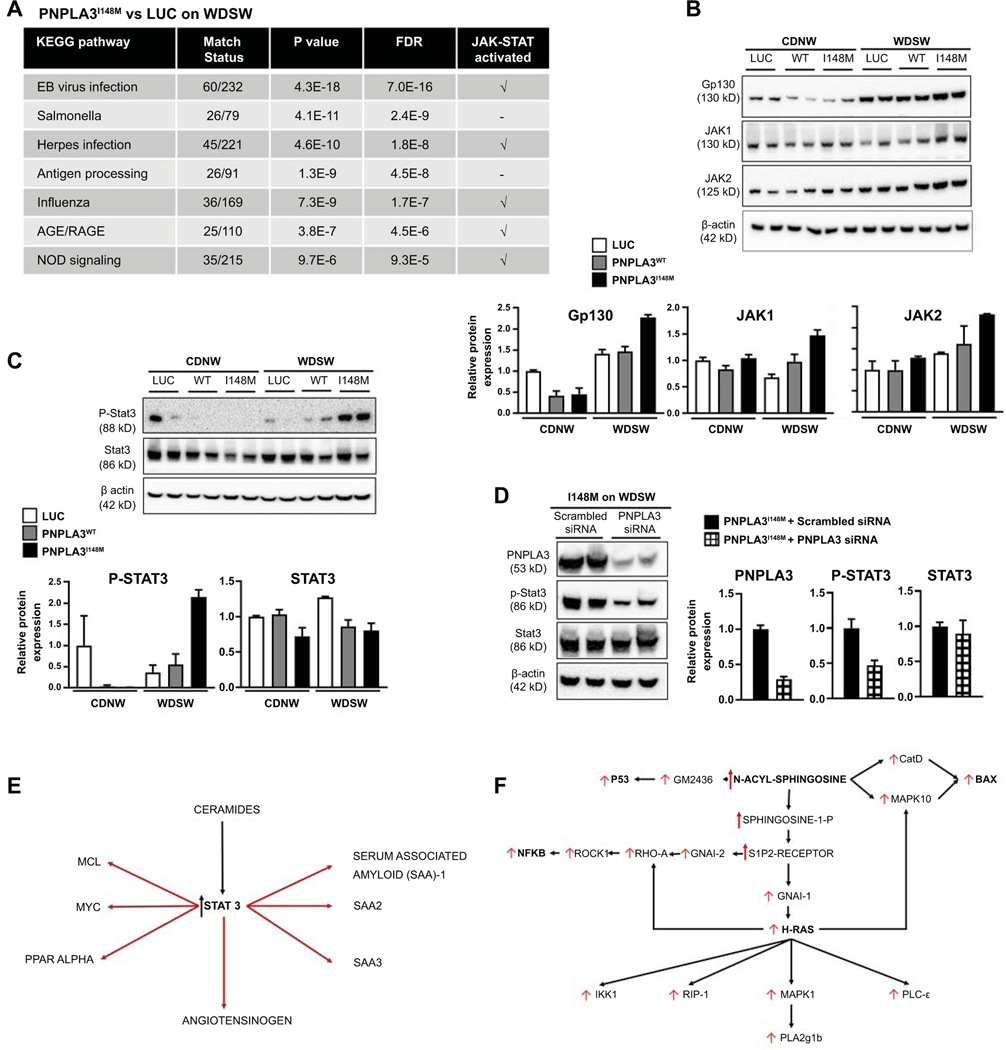 Figure 6: