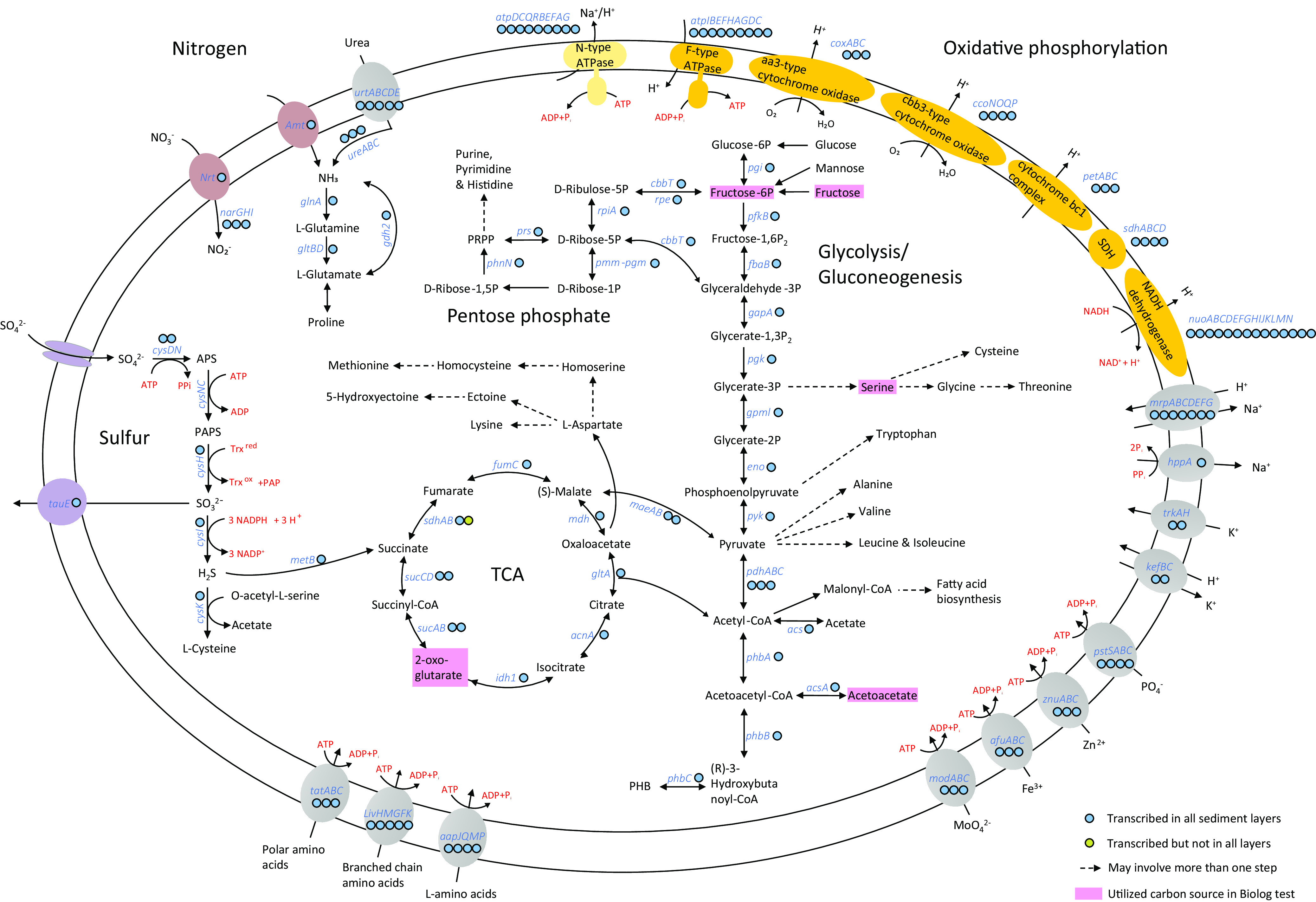 FIG 3