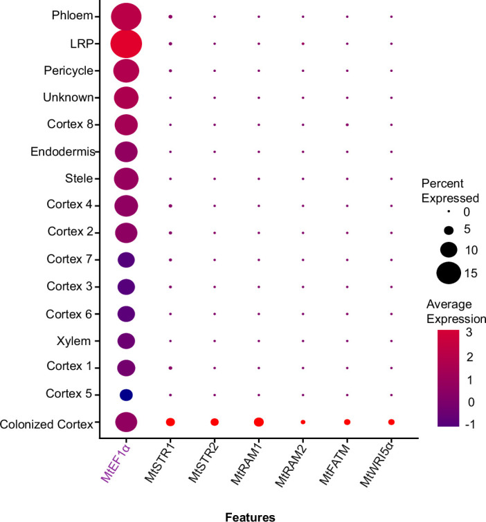 Extended Data Fig. 1