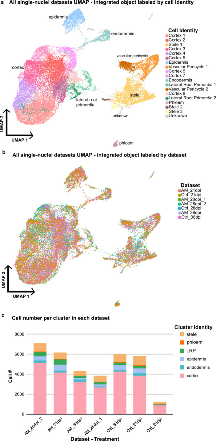 Extended Data Fig. 7