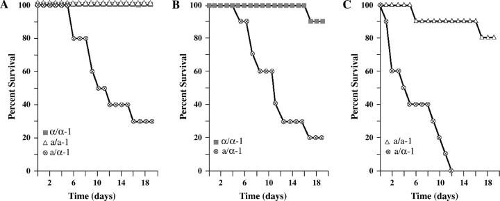 Figure 1.—