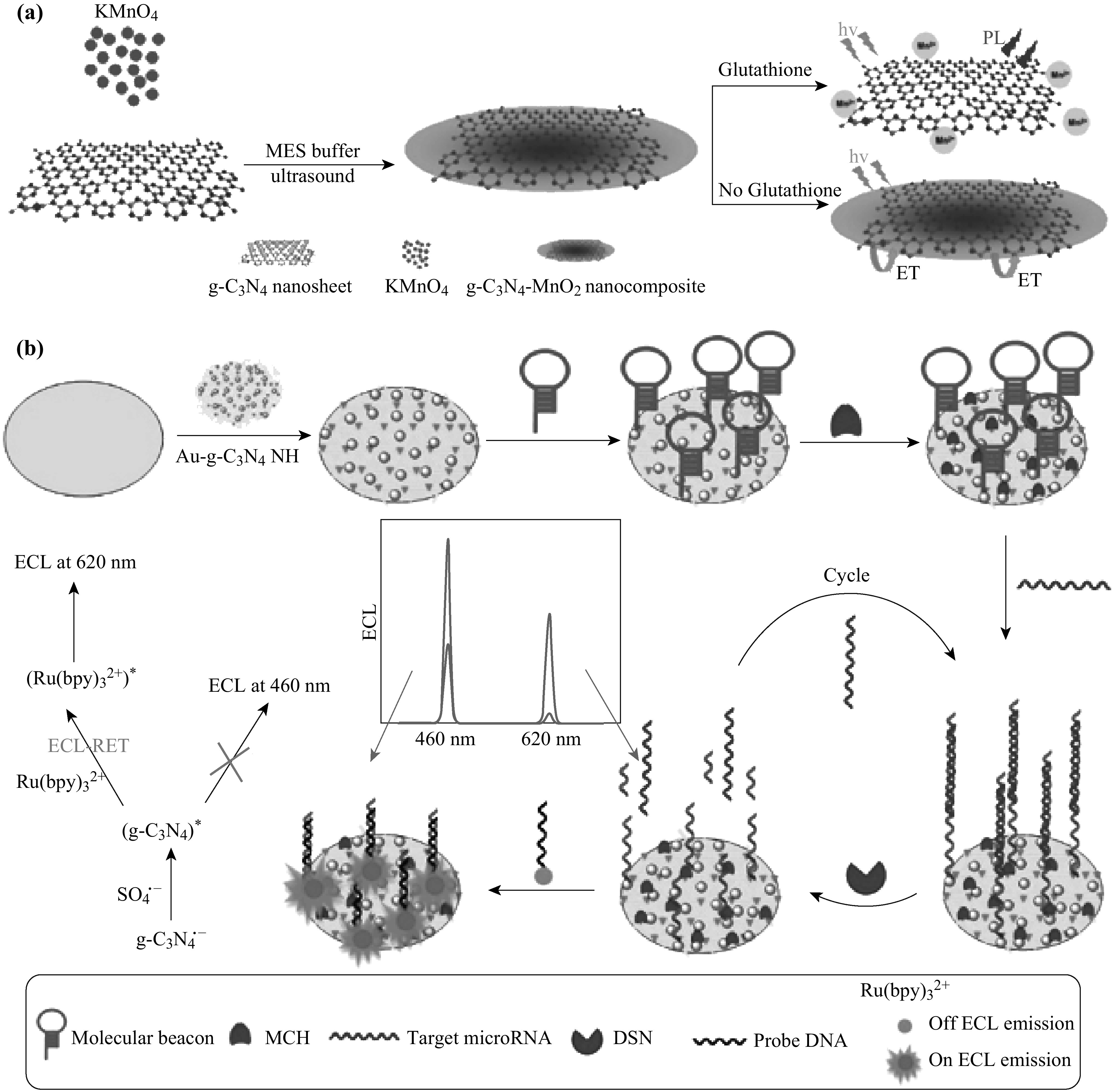 Scheme 2