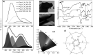 Fig. 10