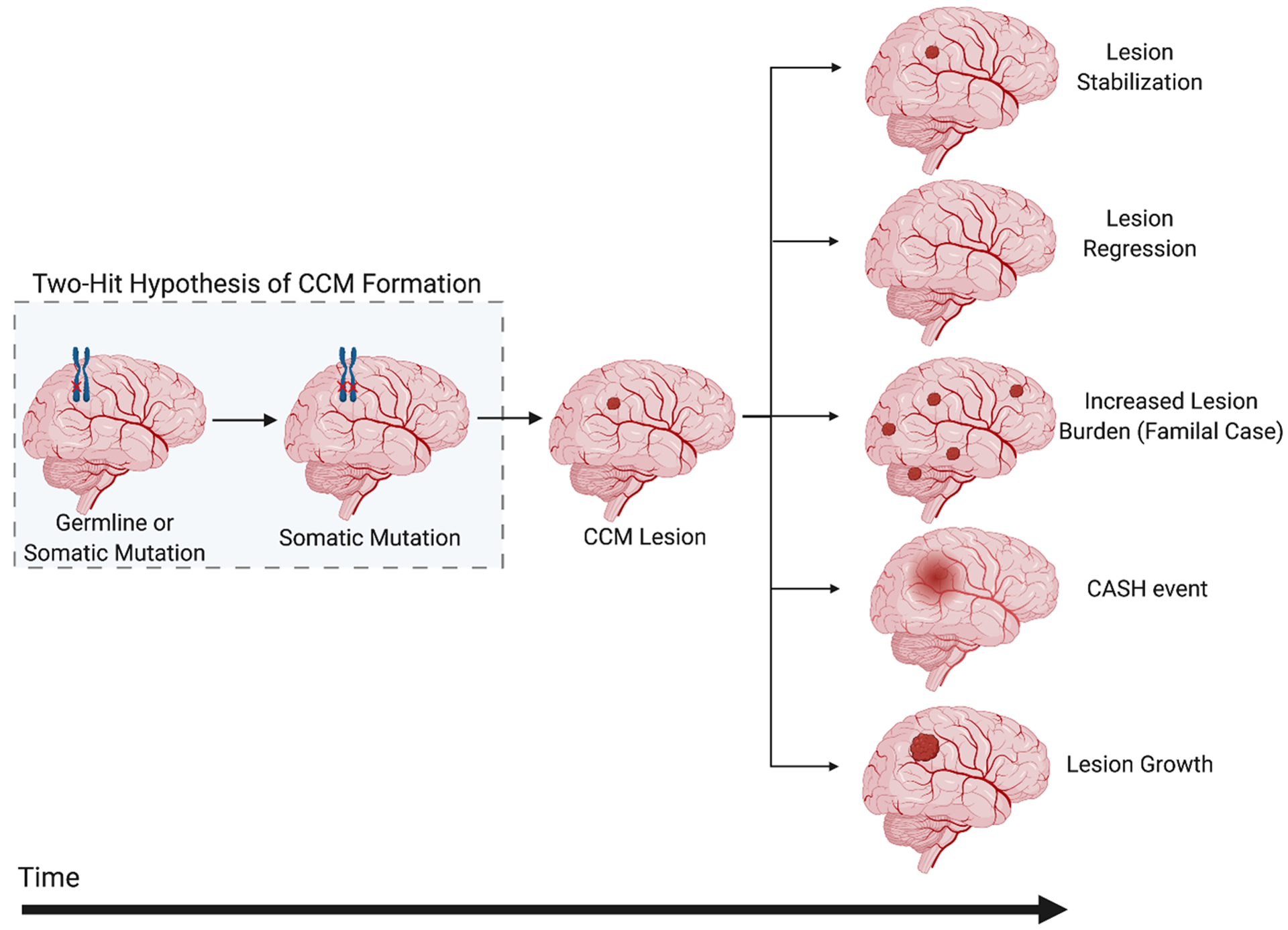 Figure 5.