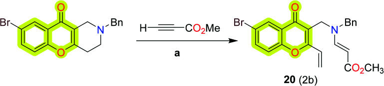 Scheme 10