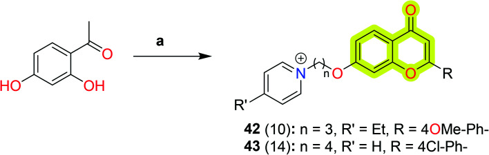 Scheme 22