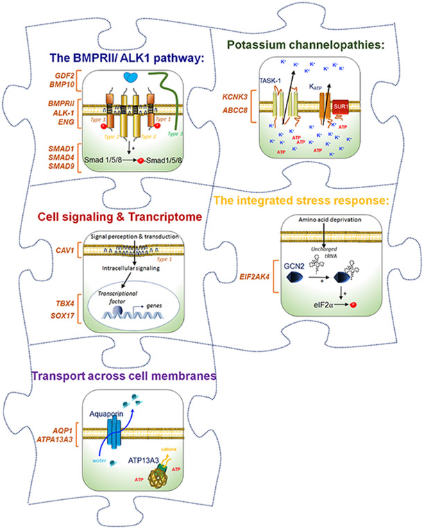 Figure 3: