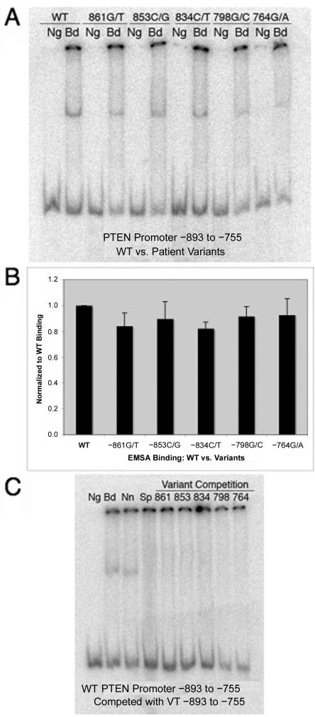 Figure  2. 