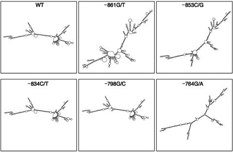 Figure  5. 