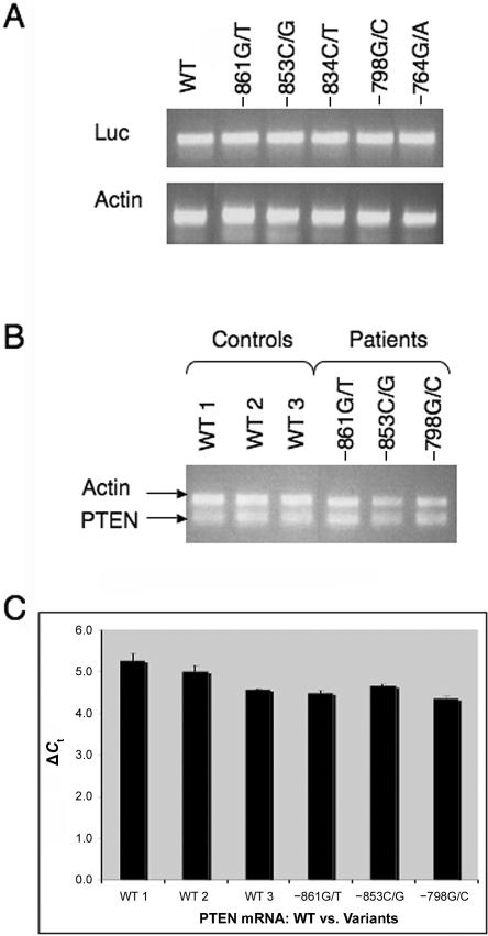 Figure  4. 