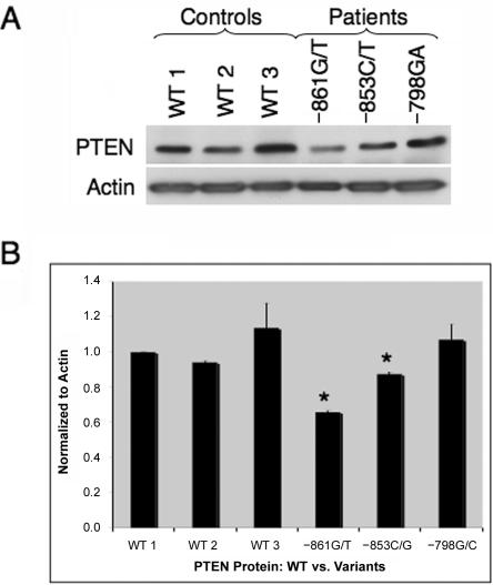 Figure  6. 