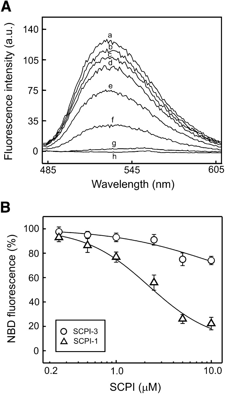 Fig. 9.