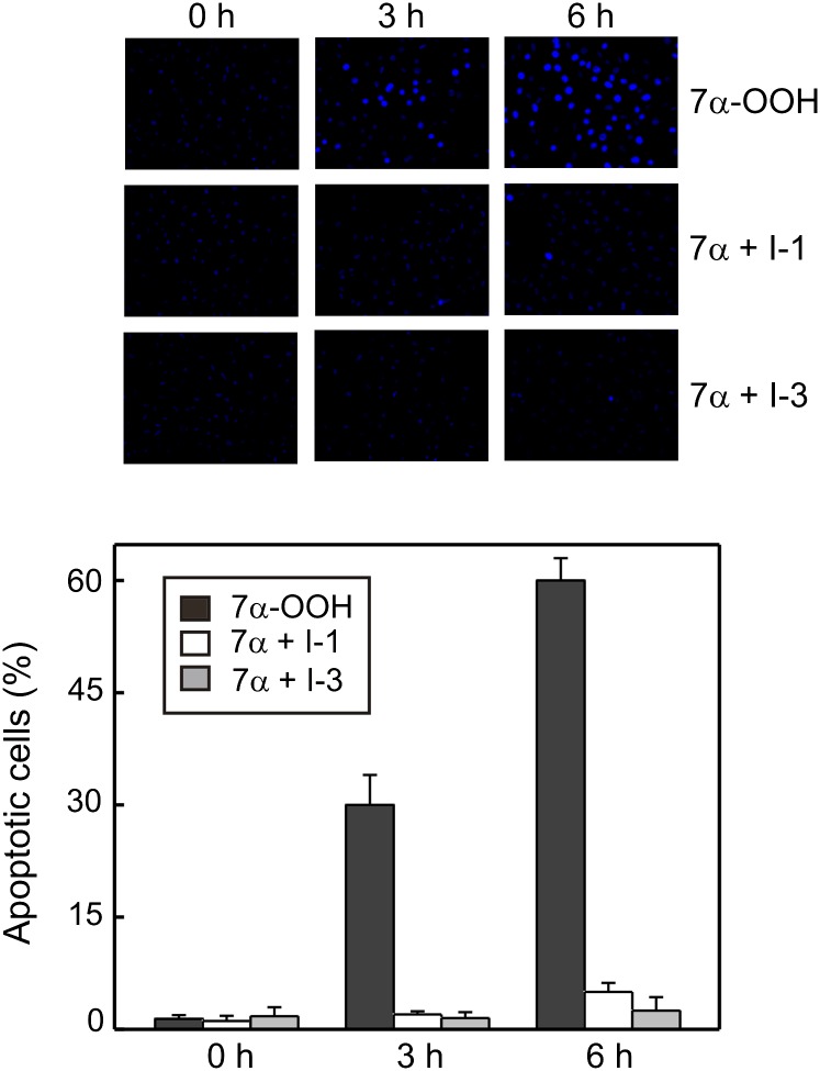 Fig. 8.