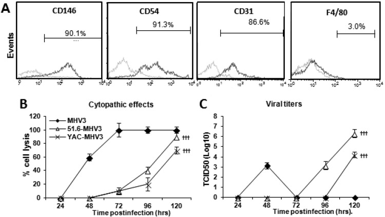 FIG 6