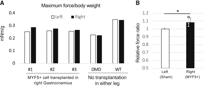 Figure 7