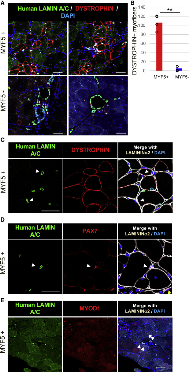 Figure 6