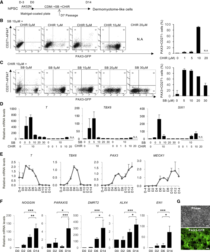 Figure 1