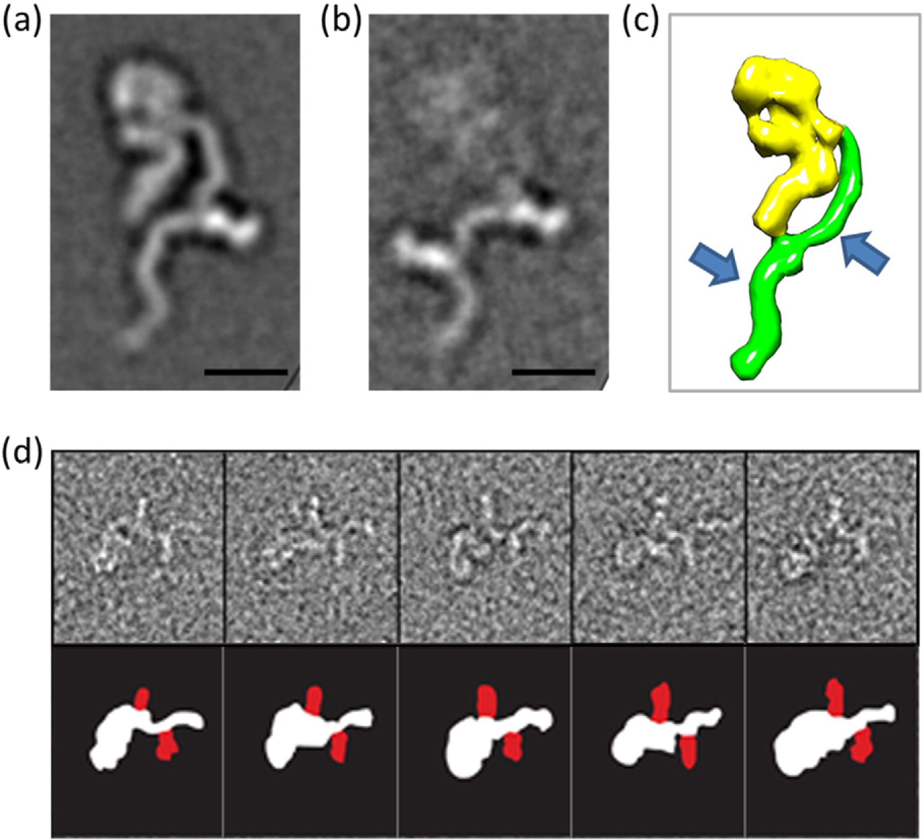 Fig. 4.