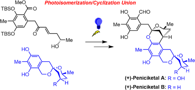 graphic file with name nihms-1703207-f0001.jpg