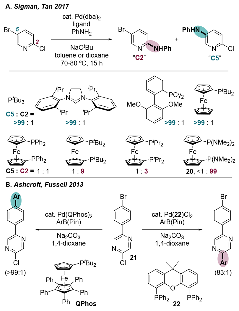 Scheme 5.