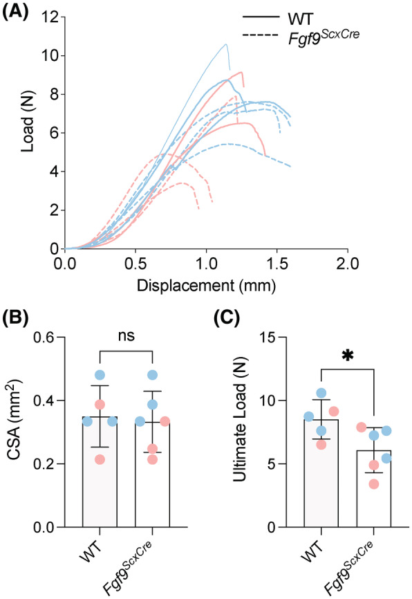 FIGURE 7