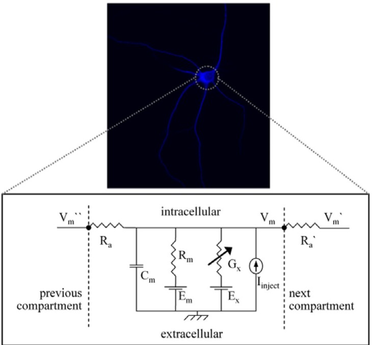 Figure 1.