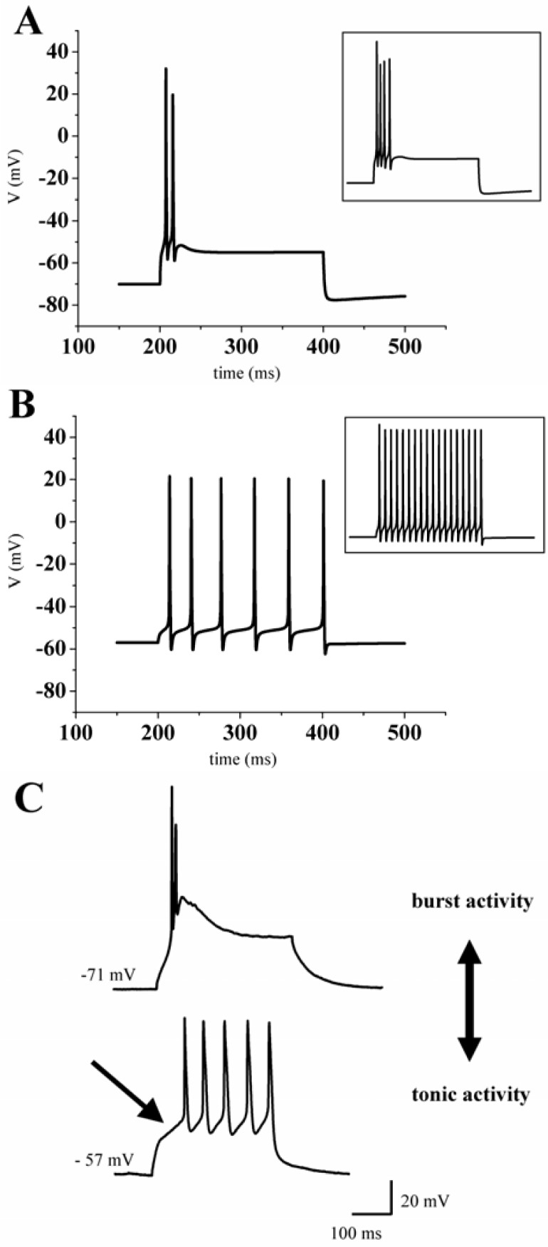 Figure 4.