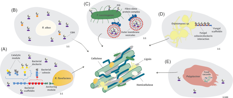 Figure 3.