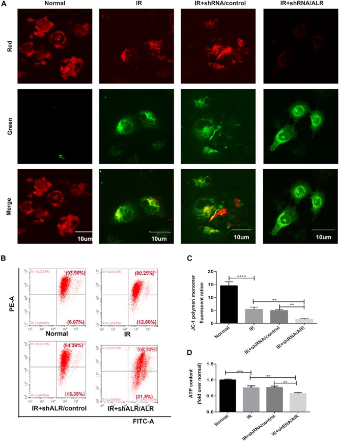 FIGURE 6