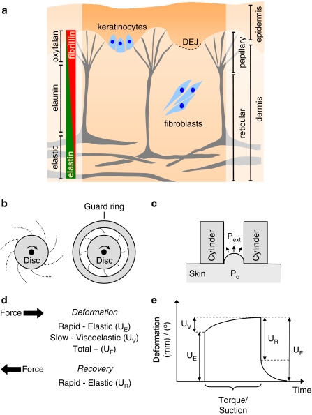 Fig. 4a–e