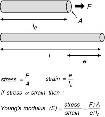 Fig. 3a, b