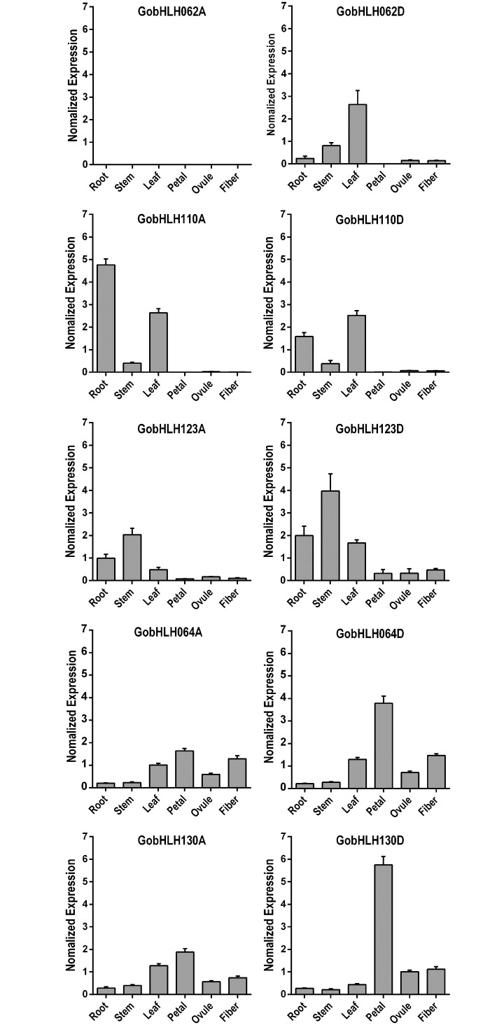 Fig 3