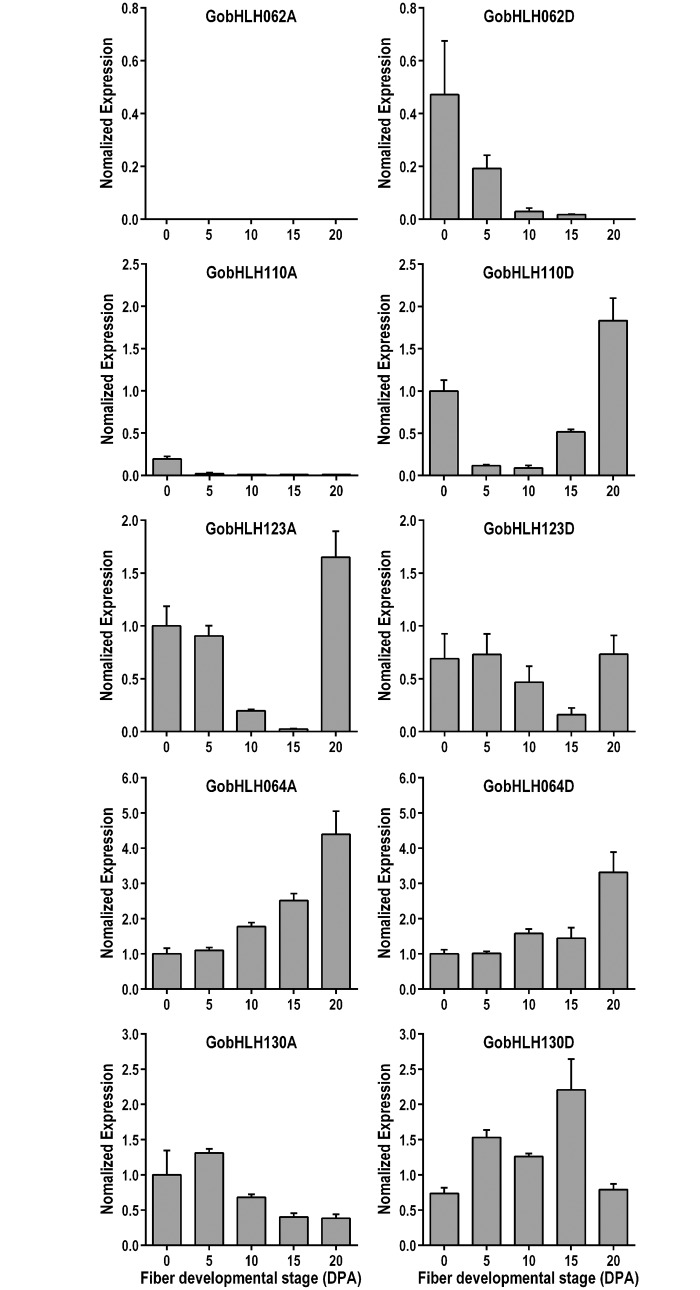 Fig 4