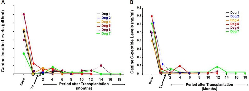 Fig. 4.