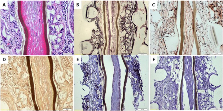 Fig. 9.