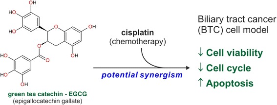 Graphical abstract