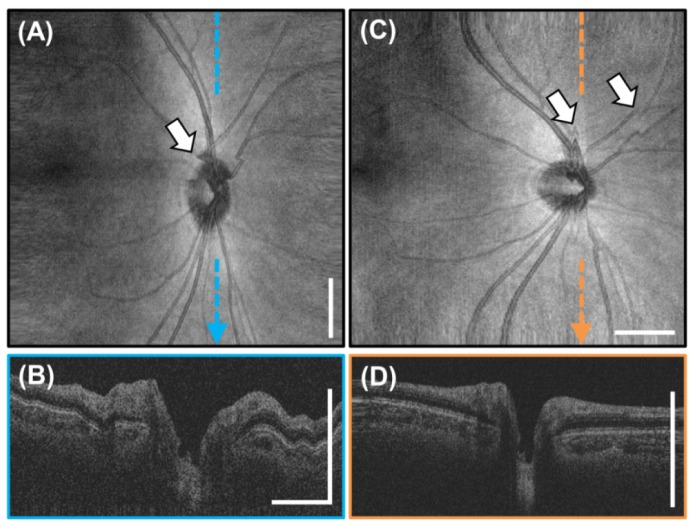 Fig. 4