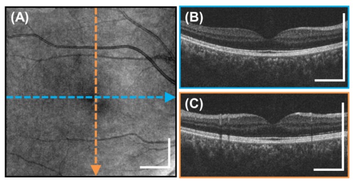 Fig. 7