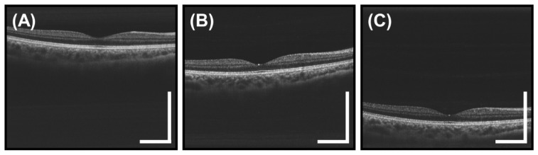 Fig. 10