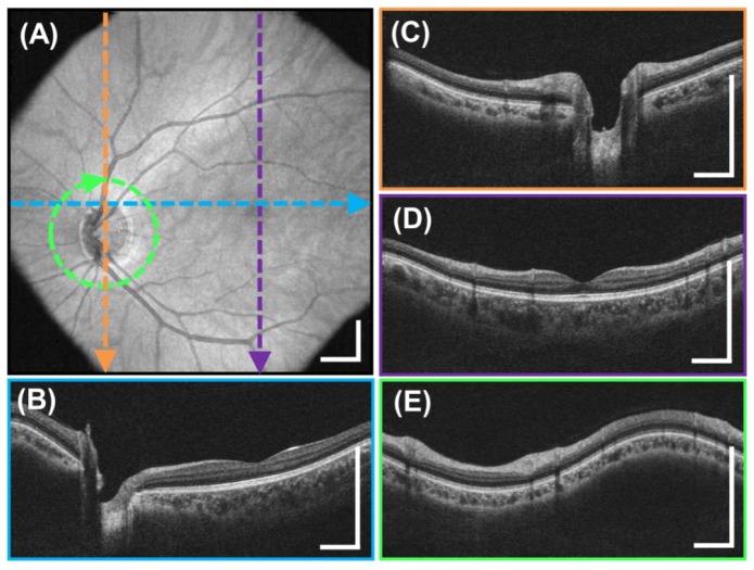 Fig. 8