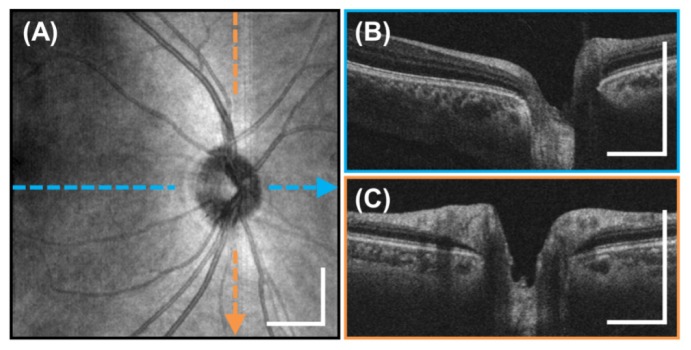 Fig. 6