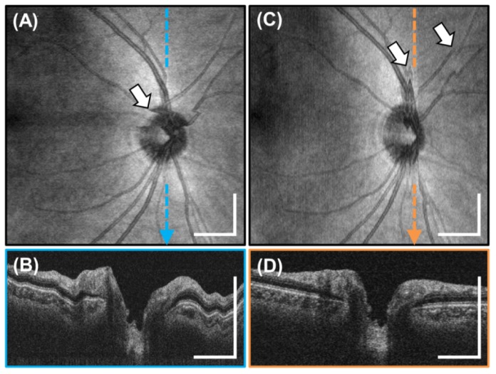 Fig. 5