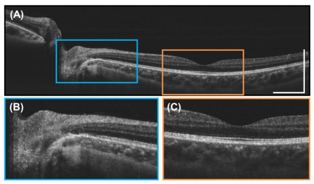 Fig. 9