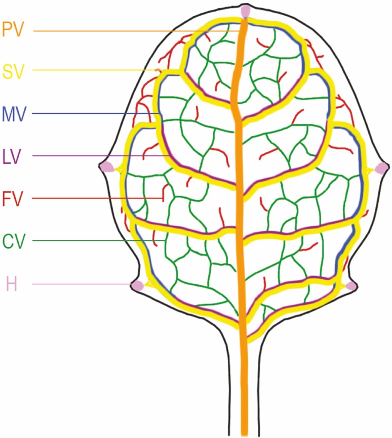 Fig. 1