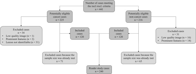 Dataset selection flowchart.